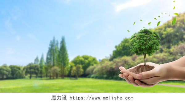 蓝色绿色简约双手保护环境树木绿叶叶子珍爱生命展板背景